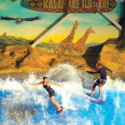 OEM Flowrider Симулятор серфинга с водяным насосом 65 кВт и мягким прочным ПВХ для аквапарков 15,3 м * 9,3 м