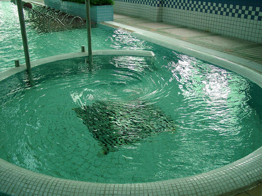 Коррозионно устойчивое оборудование для гидротерапии SPA с горячим оцинкованным металлом и интеллектуальной системой управления